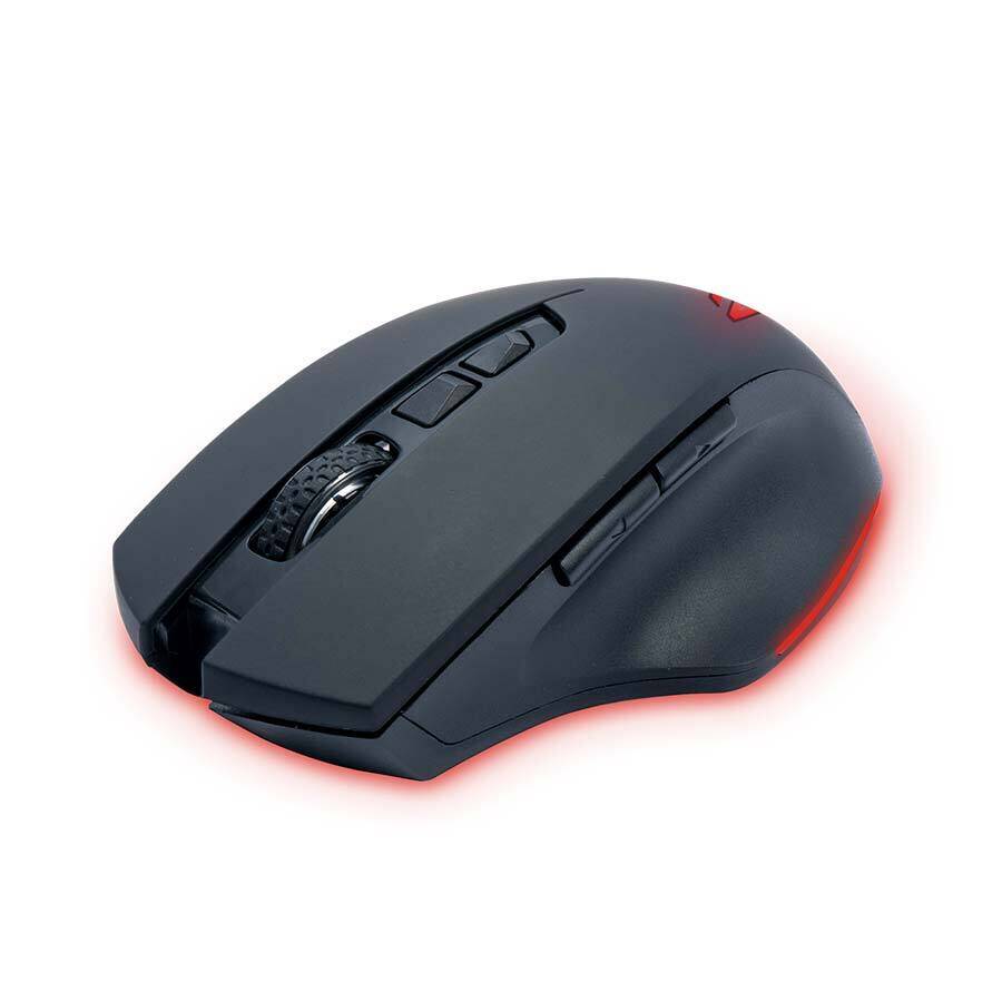 NT-GM10